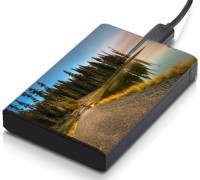meSleep HD45366 Hard Disk Skin(Multicolor)   Laptop Accessories  (meSleep)