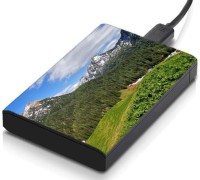 meSleep HD34261 Hard Disk Skin(Multicolor)   Laptop Accessories  (meSleep)