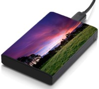 meSleep HD30231 Hard Disk Skin(Multicolor)   Laptop Accessories  (meSleep)