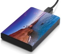 meSleep HD43213 Hard Disk Skin(Multicolor)   Laptop Accessories  (meSleep)