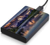 meSleep HD31357 Hard Disk Skin(Multicolor)   Laptop Accessories  (meSleep)