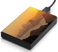 meSleep HD31065 Hard Disk Skin(Multicolor)   Laptop Accessories  (meSleep)