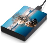 meSleep HD41309 Hard Disk Skin(Multicolor)   Laptop Accessories  (meSleep)