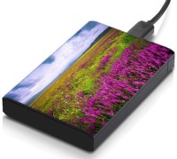 meSleep HD29048 Hard Disk Skin(Multicolor)   Laptop Accessories  (meSleep)