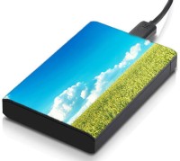 meSleep HD36021 Hard Disk Skin(Multicolor)   Laptop Accessories  (meSleep)