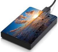 meSleep HD29256 Hard Disk Skin(Multicolor)   Laptop Accessories  (meSleep)