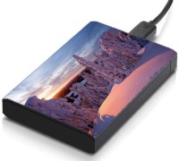 meSleep HD42124 Hard Disk Skin(Multicolor)   Laptop Accessories  (meSleep)