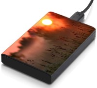 meSleep HD37153 Hard Disk Skin(Multicolor)   Laptop Accessories  (meSleep)