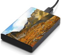 meSleep HD30020 Hard Disk Skin(Multicolor)   Laptop Accessories  (meSleep)