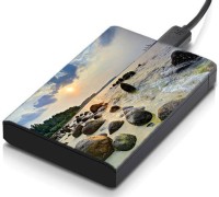 meSleep HD46108 Hard Disk Skin(Multicolor)   Laptop Accessories  (meSleep)