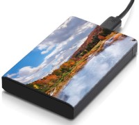 meSleep HD36273 Hard Disk Skin(Multicolor)   Laptop Accessories  (meSleep)