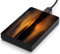 meSleep HD41089 Hard Disk Skin(Multicolor)   Laptop Accessories  (meSleep)