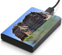 meSleep HD45078 Hard Disk Skin(Multicolor)   Laptop Accessories  (meSleep)