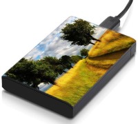meSleep HD41025 Hard Disk Skin(Multicolor)   Laptop Accessories  (meSleep)