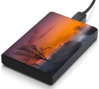 meSleep HD39145 Hard Disk Skin(Multicolor)   Laptop Accessories  (meSleep)