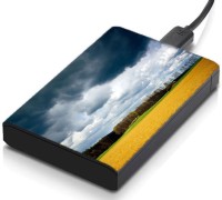 meSleep HD30178 Hard Disk Skin(Multicolor)   Laptop Accessories  (meSleep)
