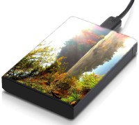 meSleep HD36356 Hard Disk Skin(Multicolor)   Laptop Accessories  (meSleep)