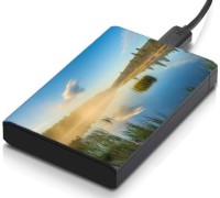 meSleep HD45338 Hard Disk Skin(Multicolor)   Laptop Accessories  (meSleep)
