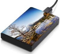 meSleep HD45008 Hard Disk Skin(Multicolor)   Laptop Accessories  (meSleep)