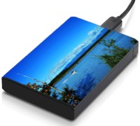meSleep HD32112 Hard Disk Skin(Multicolor)   Laptop Accessories  (meSleep)