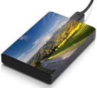 meSleep HD29098 Hard Disk Skin(Multicolor)   Laptop Accessories  (meSleep)