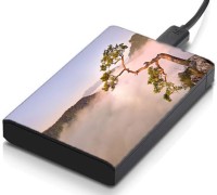 meSleep HD34123 Hard Disk Skin(Multicolor)   Laptop Accessories  (meSleep)