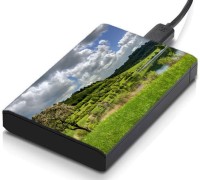 meSleep HD30080 Hard Disk Skin(Multicolor)   Laptop Accessories  (meSleep)