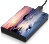meSleep HD46215 Hard Disk Skin(Multicolor)   Laptop Accessories  (meSleep)