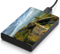 meSleep HD45044 Hard Disk Skin(Multicolor)   Laptop Accessories  (meSleep)