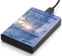 meSleep HD42100 Hard Disk Skin(Multicolor)   Laptop Accessories  (meSleep)