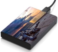 meSleep HD46260 Hard Disk Skin(Multicolor)   Laptop Accessories  (meSleep)