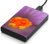 meSleep HD44281 Hard Disk Skin(Multicolor)   Laptop Accessories  (meSleep)