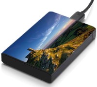 meSleep HD29187 Hard Disk Skin(Multicolor)   Laptop Accessories  (meSleep)