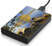 meSleep HD35163 Hard Disk Skin(Multicolor)   Laptop Accessories  (meSleep)