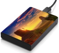 meSleep HD39288 Hard Disk Skin(Multicolor)   Laptop Accessories  (meSleep)