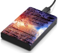 meSleep HD42294 Hard Disk Skin(Multicolor)   Laptop Accessories  (meSleep)