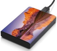 meSleep HD45273 Hard Disk Skin(Multicolor)   Laptop Accessories  (meSleep)