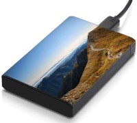 meSleep HD31135 Hard Disk Skin(Multicolor)   Laptop Accessories  (meSleep)