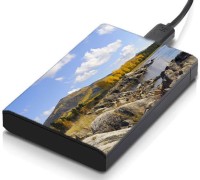 meSleep HD31288 Hard Disk Skin(Multicolor)   Laptop Accessories  (meSleep)
