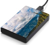 meSleep HD45033 Hard Disk Skin(Multicolor)   Laptop Accessories  (meSleep)
