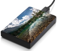 meSleep HD36041 Hard Disk Skin(Multicolor)   Laptop Accessories  (meSleep)