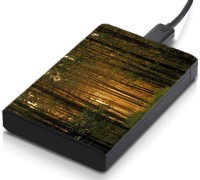 meSleep HD39061 Hard Disk Skin(Multicolor)   Laptop Accessories  (meSleep)