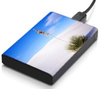 meSleep HD21106 Hard Disk Skin(Multicolor)   Laptop Accessories  (meSleep)