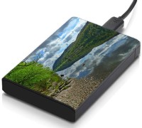 meSleep HD32276 Hard Disk Skin(Multicolor)   Laptop Accessories  (meSleep)