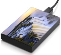 meSleep HD39259 Hard Disk Skin(Multicolor)   Laptop Accessories  (meSleep)