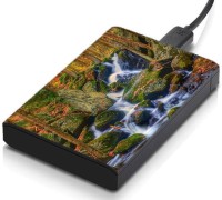 meSleep HD38192 Hard Disk Skin(Multicolor)   Laptop Accessories  (meSleep)