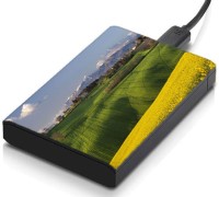 meSleep HD32288 Hard Disk Skin(Multicolor)   Laptop Accessories  (meSleep)