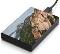 meSleep HD43378 Hard Disk Skin(Multicolor)   Laptop Accessories  (meSleep)