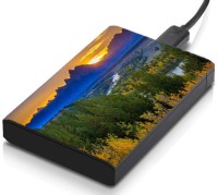 meSleep HD32044 Hard Disk Skin(Multicolor)   Laptop Accessories  (meSleep)