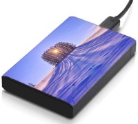 meSleep HD43025 Hard Disk Skin(Multicolor)   Laptop Accessories  (meSleep)